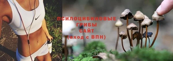 прущая мука Баксан