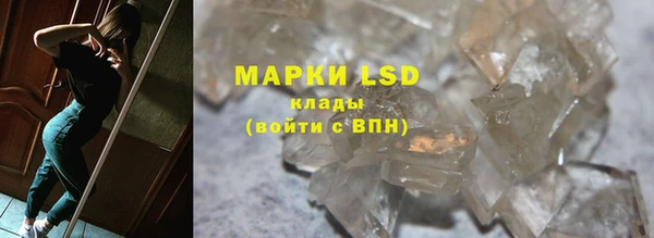ПСИЛОЦИБИНОВЫЕ ГРИБЫ Балахна