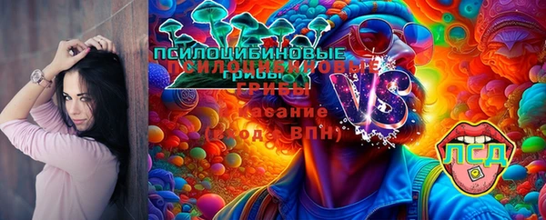 ПСИЛОЦИБИНОВЫЕ ГРИБЫ Балахна